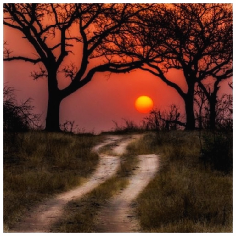 African Sunset