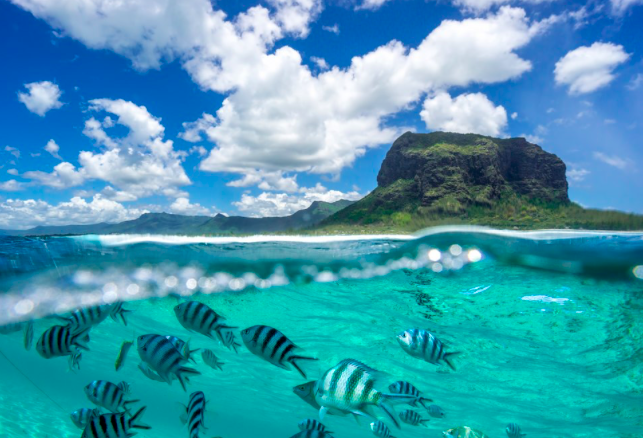 Beach Mauritius